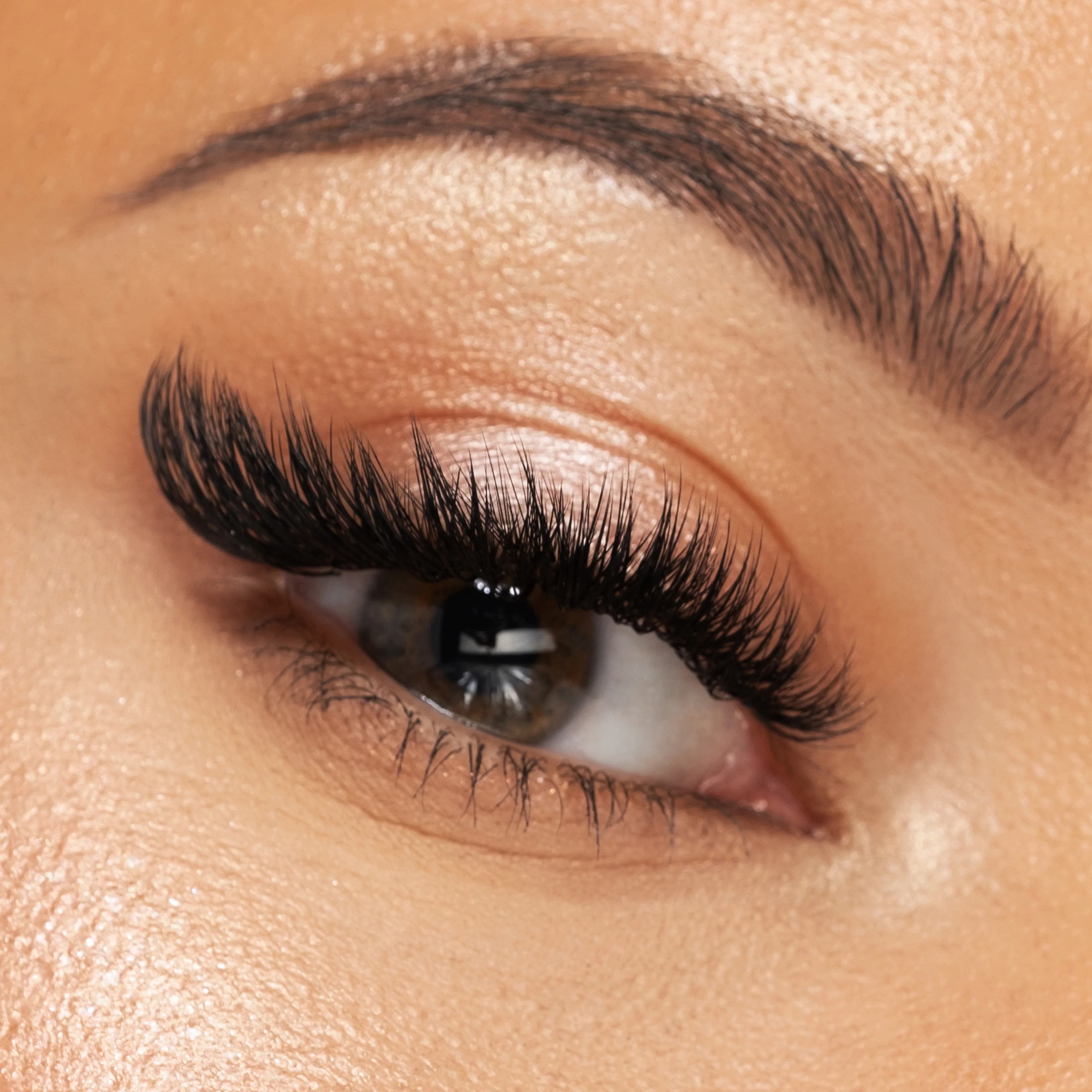 Lashes